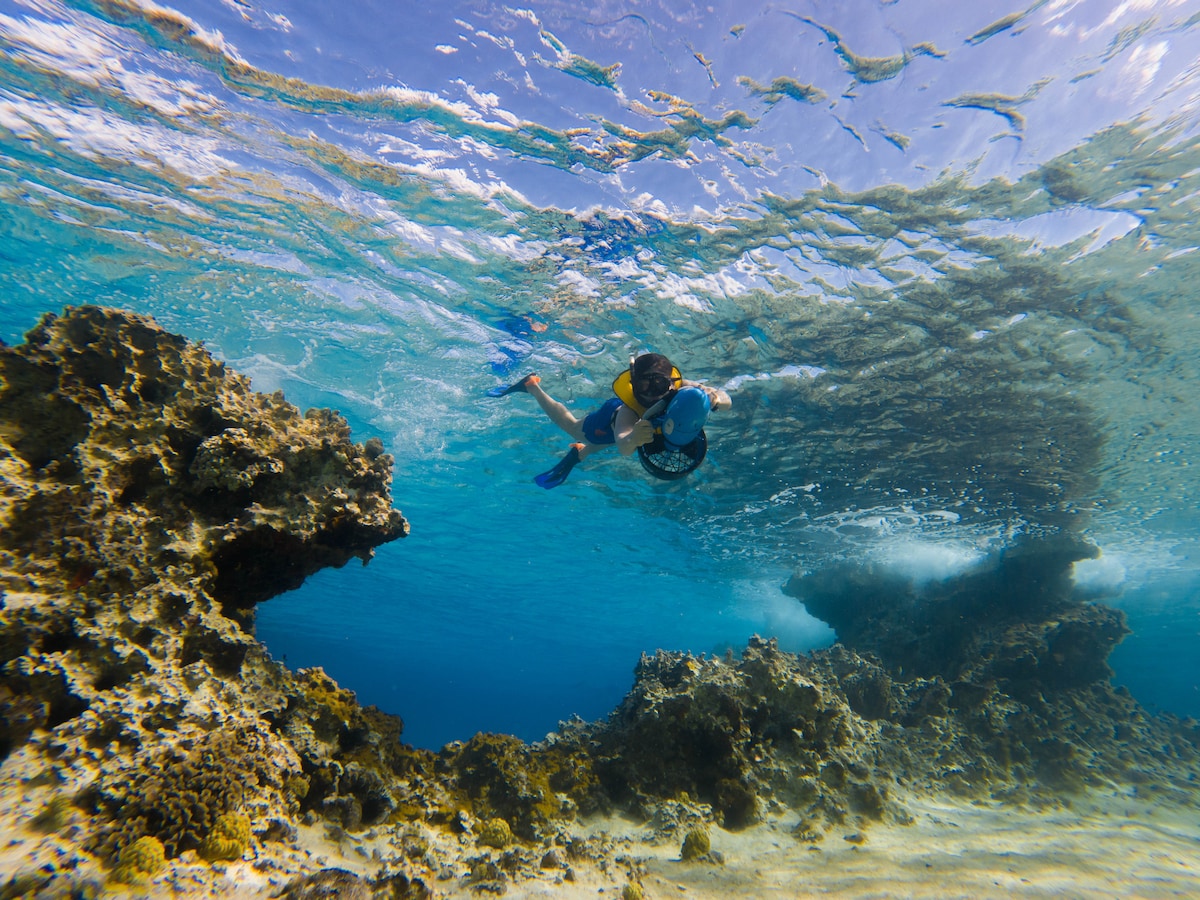 Cozumel Power Snorkel Experience With Local Guide