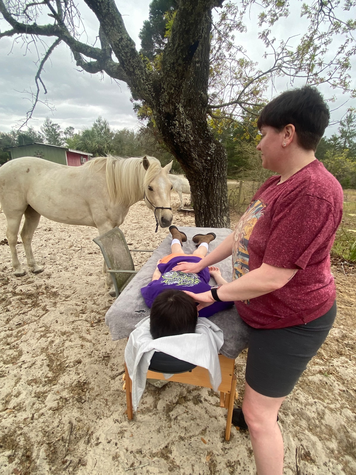 Heal with horses with an Energetic Healer.