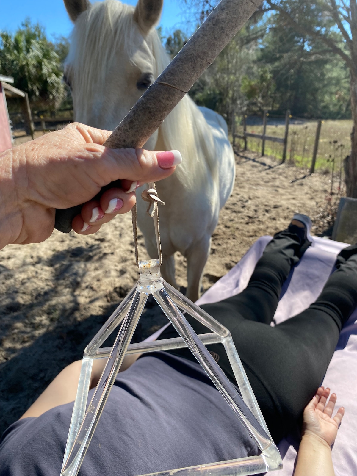 Heal with horses with an Energetic Healer.