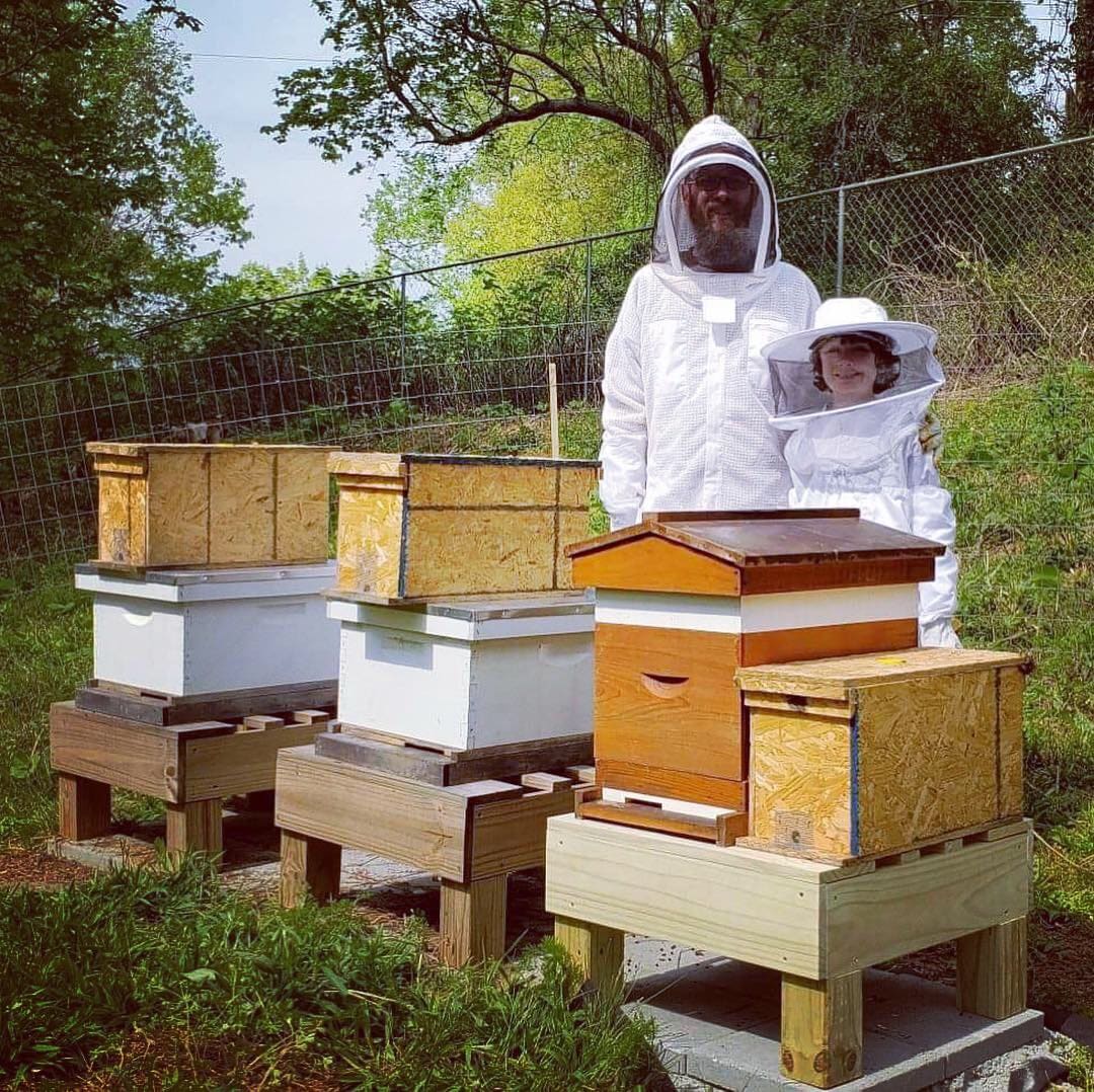 Learn about sustainable farming and meet animals