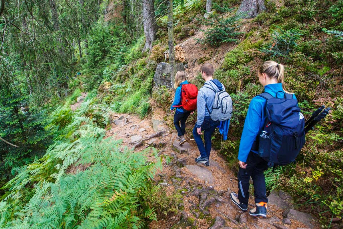 Mallorca Mapaku Game Experience