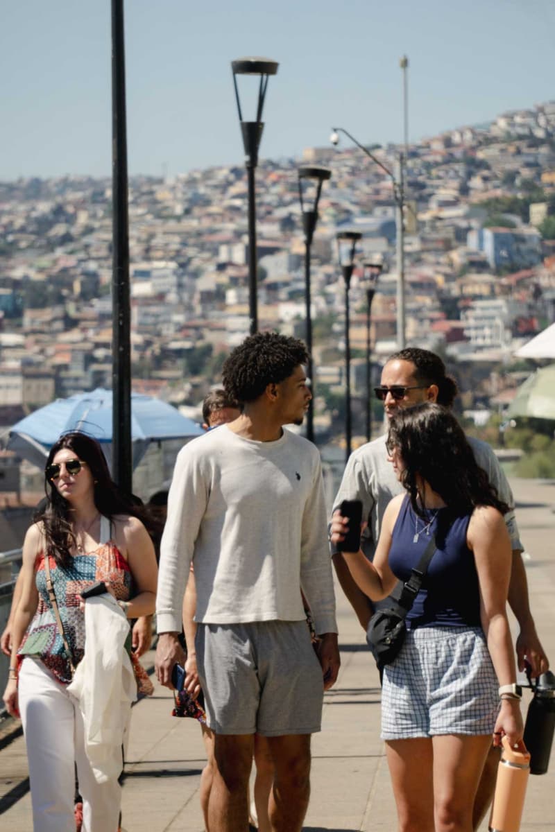 Explore Valparaíso and wine