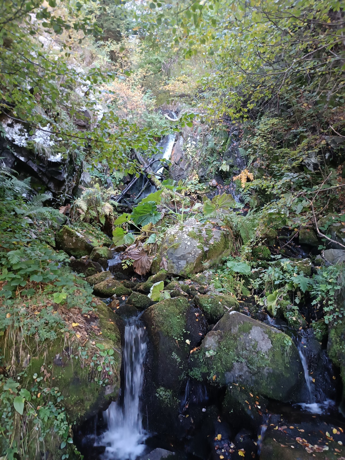 Hidden Treasures - Hike in the Heart of Vitosha
