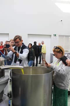 Descubre la producción de aceite de oliva