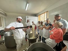 Потопете се в изкуството на млекопроизводството във Вико Екуенсе