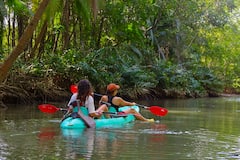 สำรวจป่าชายเลนด้วยเรือคายัค