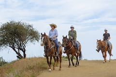 Hollywood Sign by Horseback