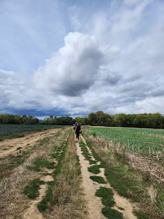 Auvers-sur-Oise a través de los ojos de Van Gogh