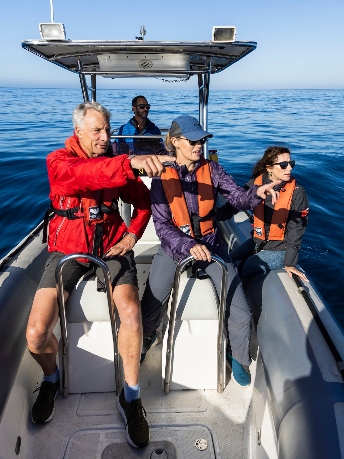 Ocean Wildlife Encounter