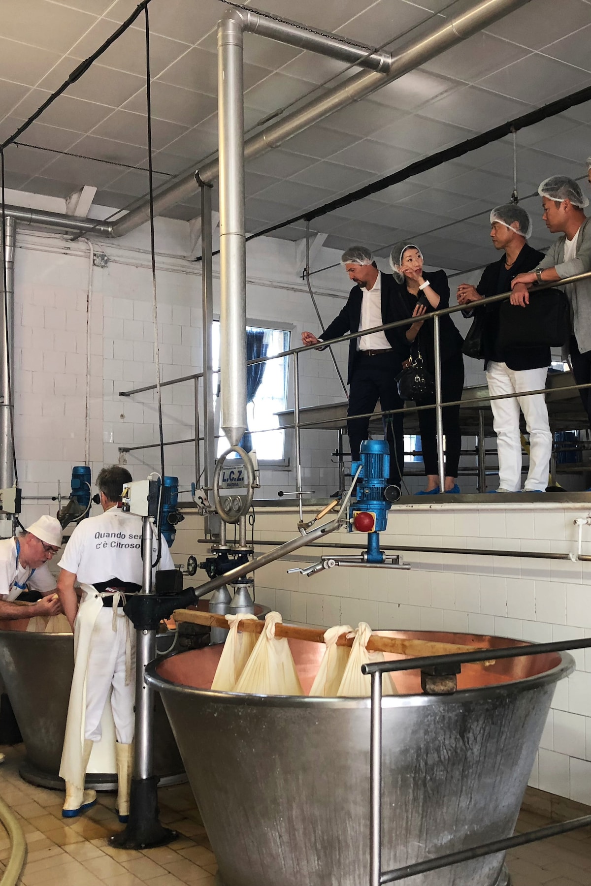 Discover parma cheese - Full Experience