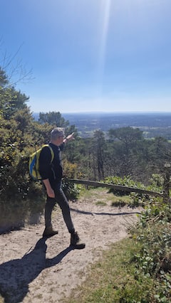 Explora las impresionantes colinas de Surrey con un lugareño