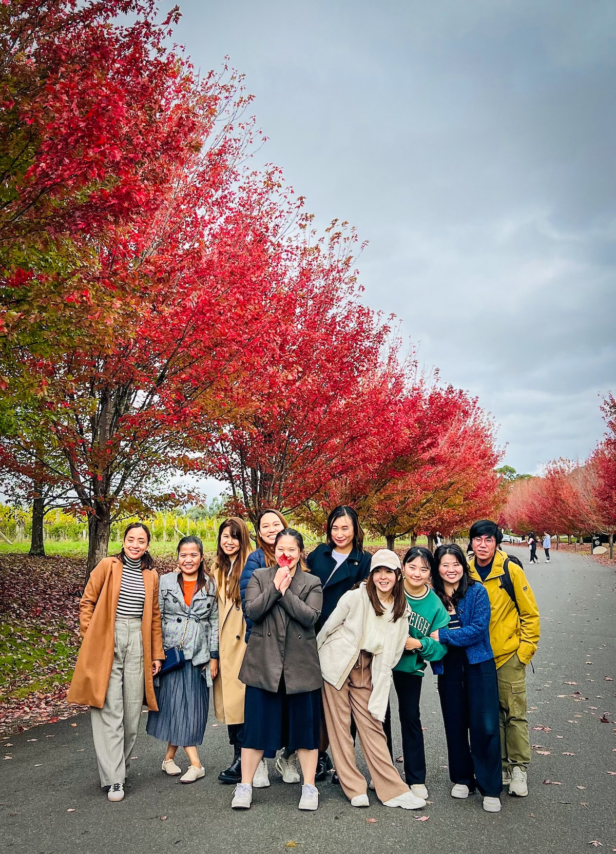 Explore & Taste the Amazing Yarra Valley