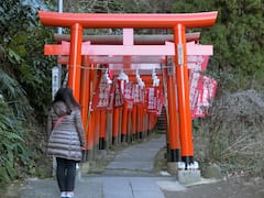 Paseo por los santuarios ocultos y las callejuelas de Kamakura