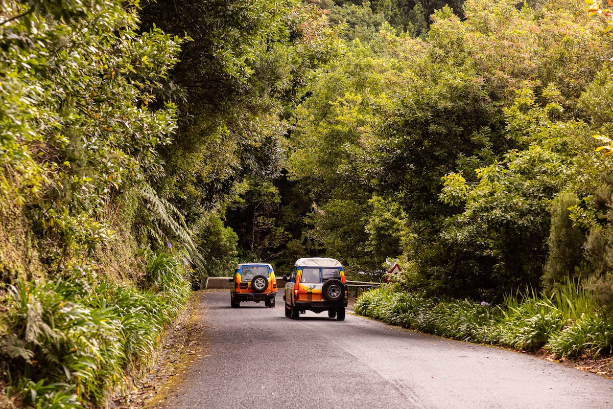Discover the Northwest of Madeira in a 4x4