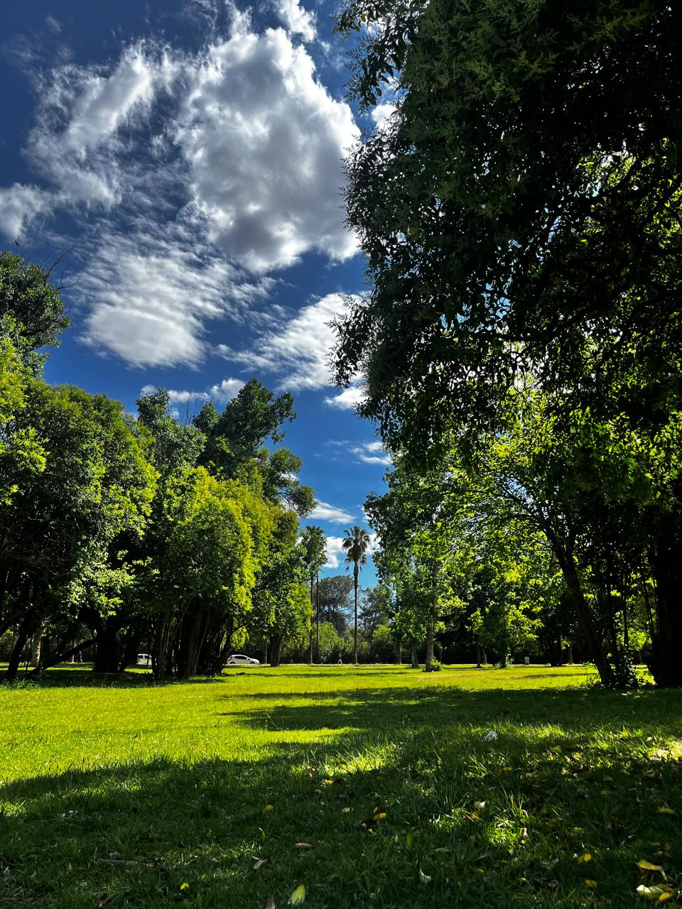 Discover the wonderful world of mate