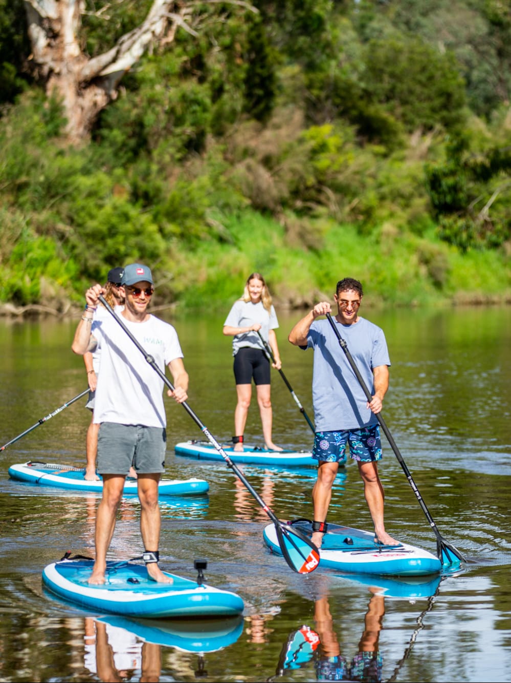 Paddleboard & Snorkel Safari Mornington Peninsula