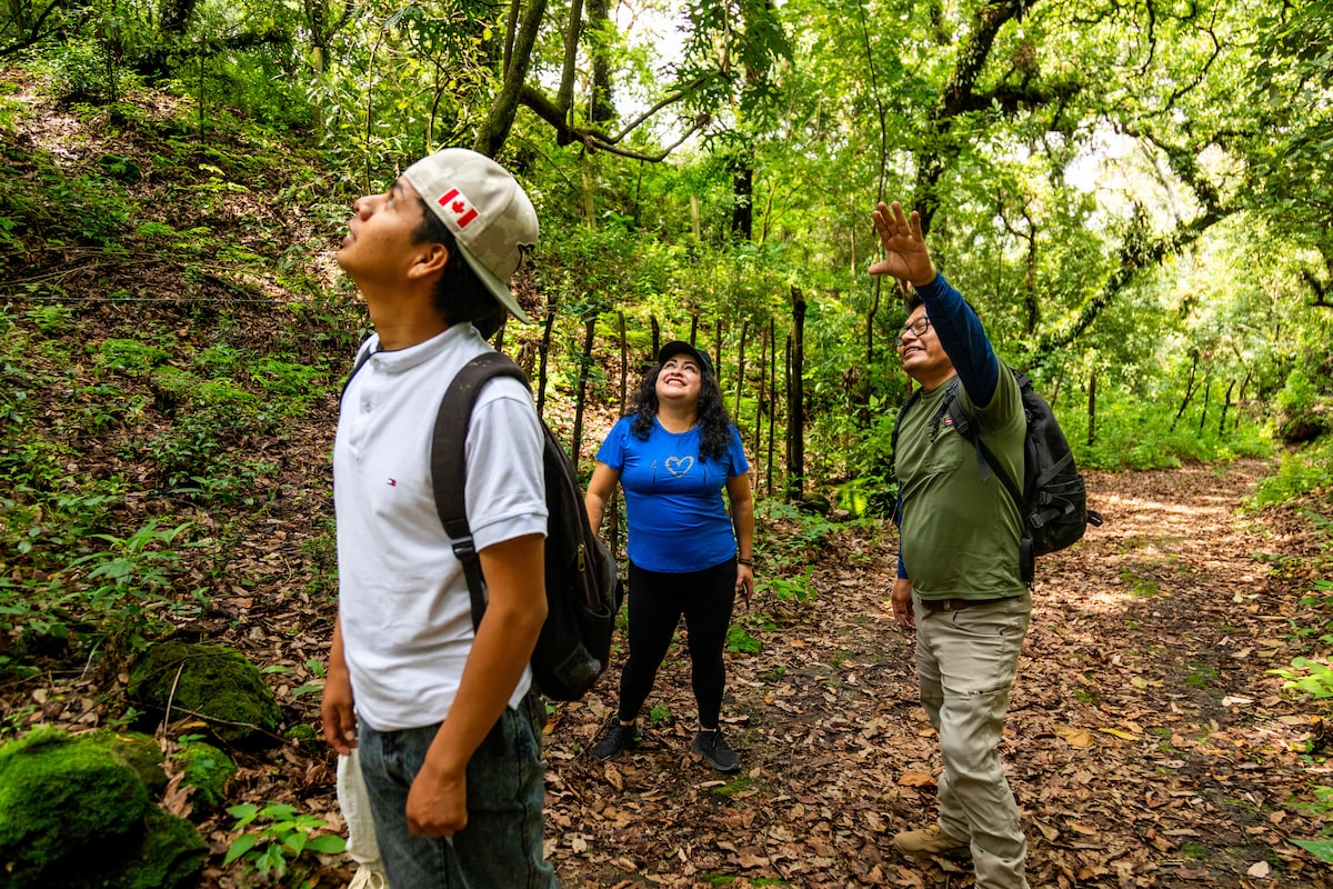 Find the hidden trails of El Tepozteco