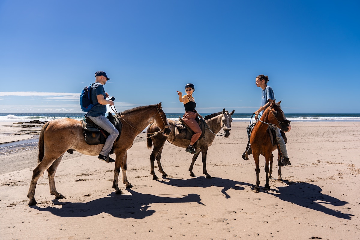 Explore the jungle and beach