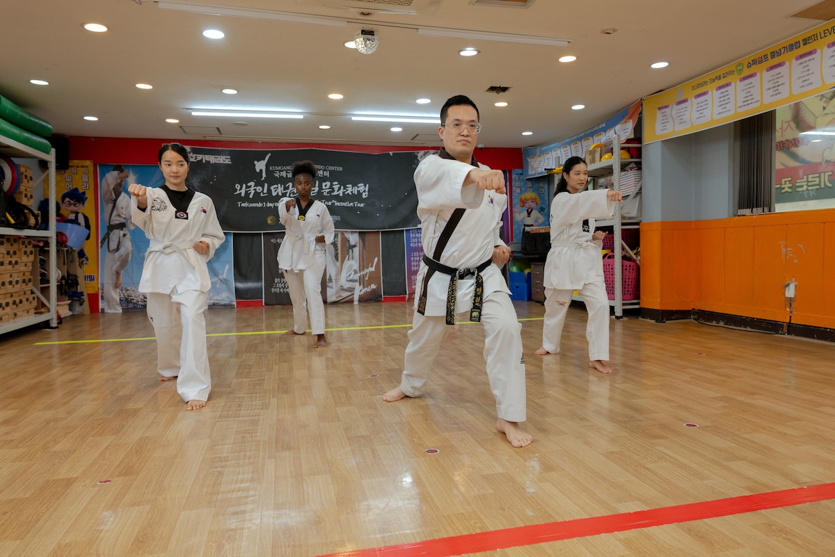 Learn taekwondo techniques
