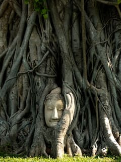 Ayutthaya, patrimonio de la UNESCO: experiencia privada de día completo