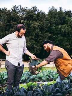 Visita a una granja regenerativa y taller de fermentación