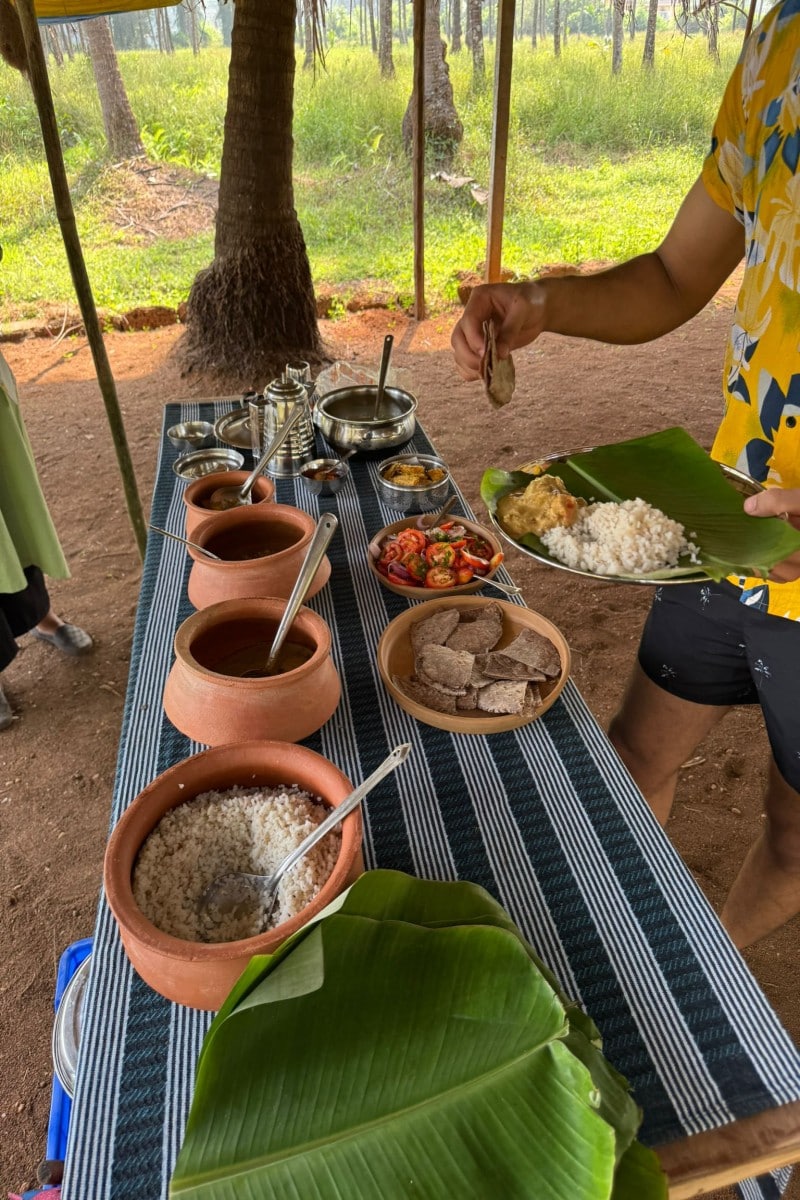 Immersive Coconut Experience - by Mulgao Verde