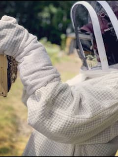 A Day in the Hive