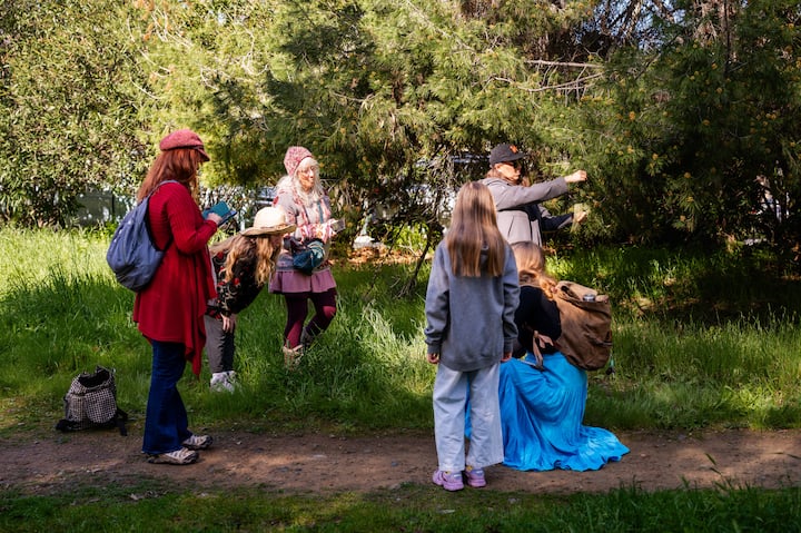 Събиране на диви растения и приготвяне на див чай в парка „Голдън Гейт“