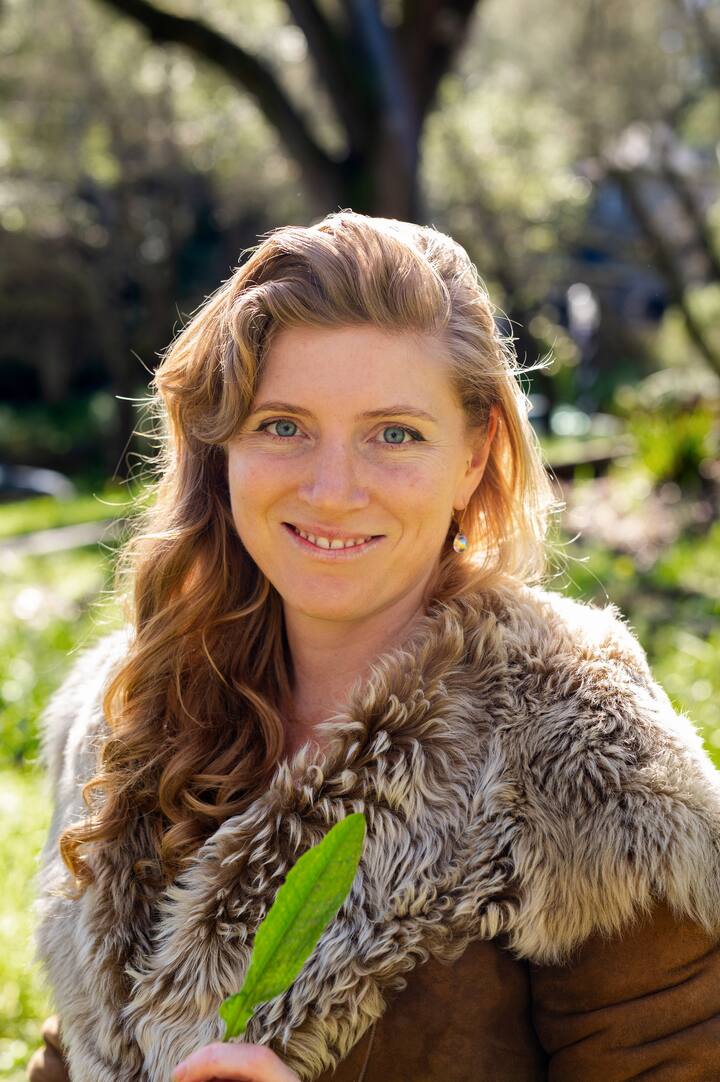 Събиране на диви растения и приготвяне на див чай в парка „Голдън Гейт“