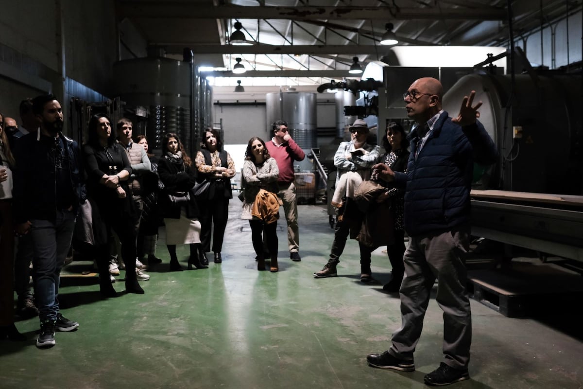 Discover the oldest winery in Málaga