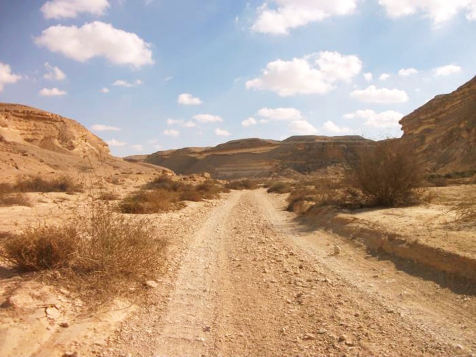 Hike and yoga in the wilderness