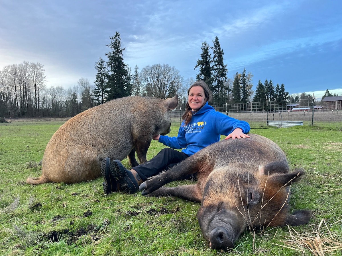 Erkunde das Heartwood Haven Farm Sanctuary