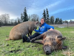 Explora el santuario de animales de Heartwood Haven