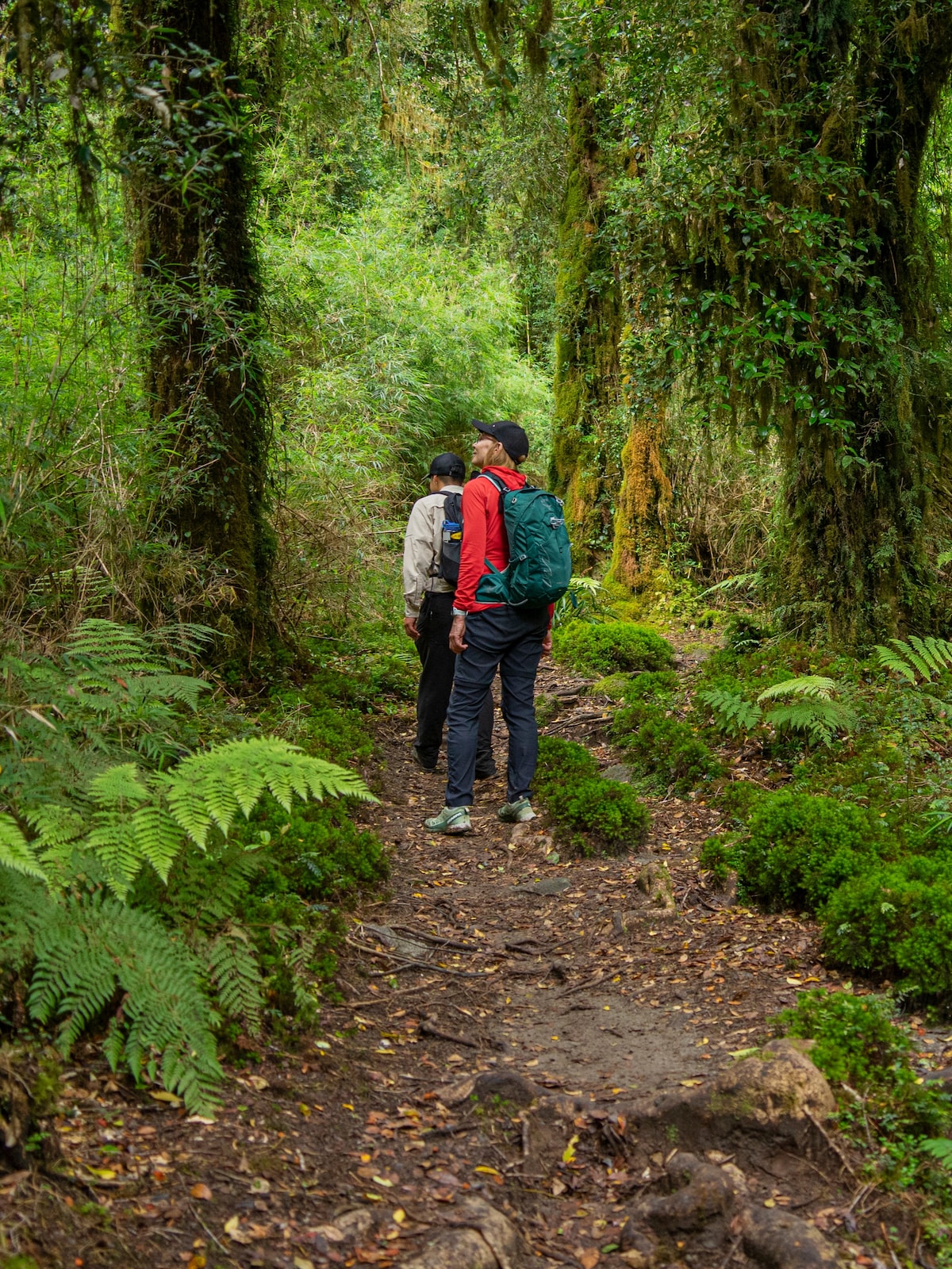 Guided Tours Carretera Austral, Chaitén, Pumalin
