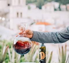 Sip rich Dalmatian wine in a secret garden
