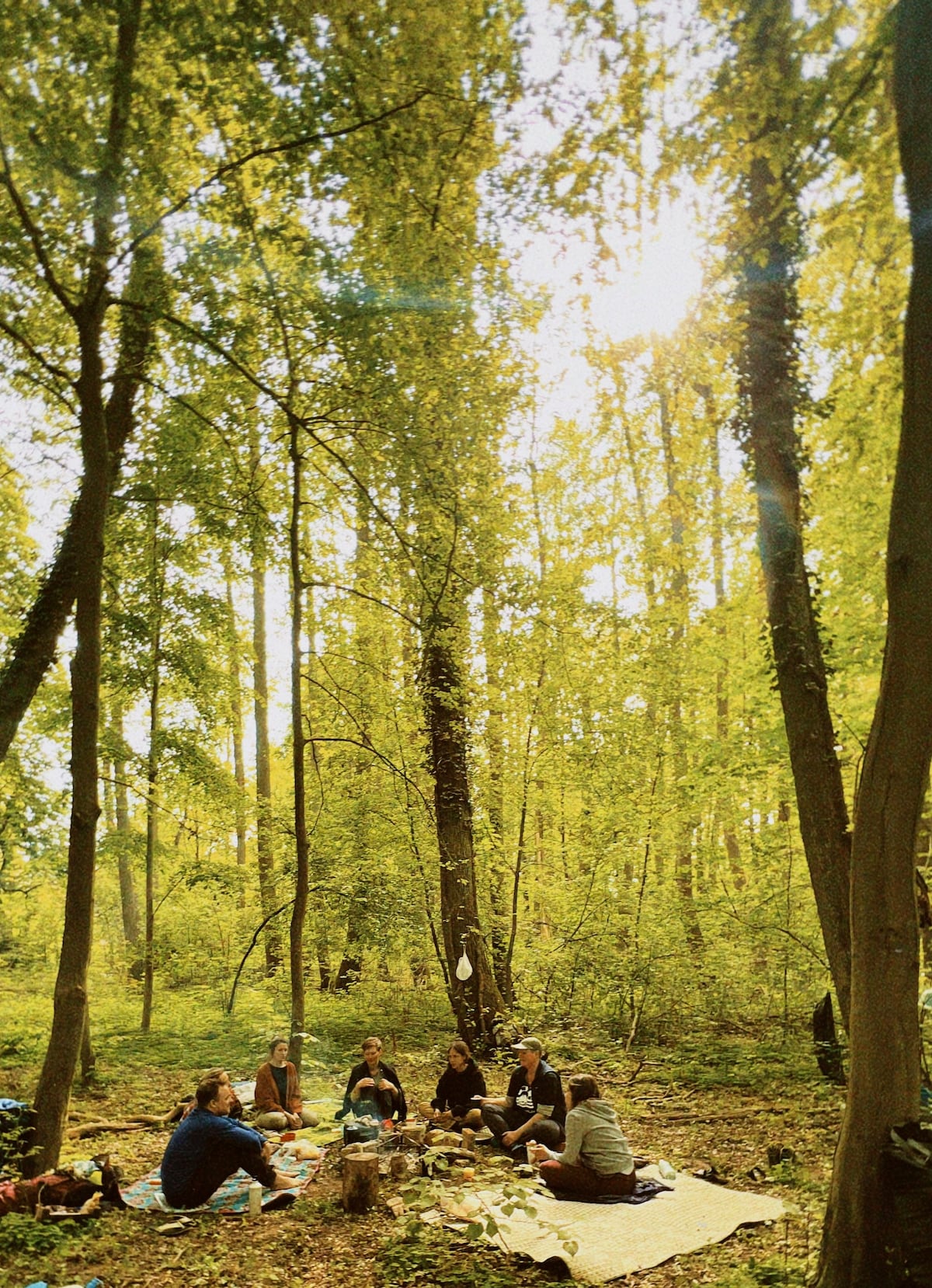 Reconnect with nature, reflect and find clarity