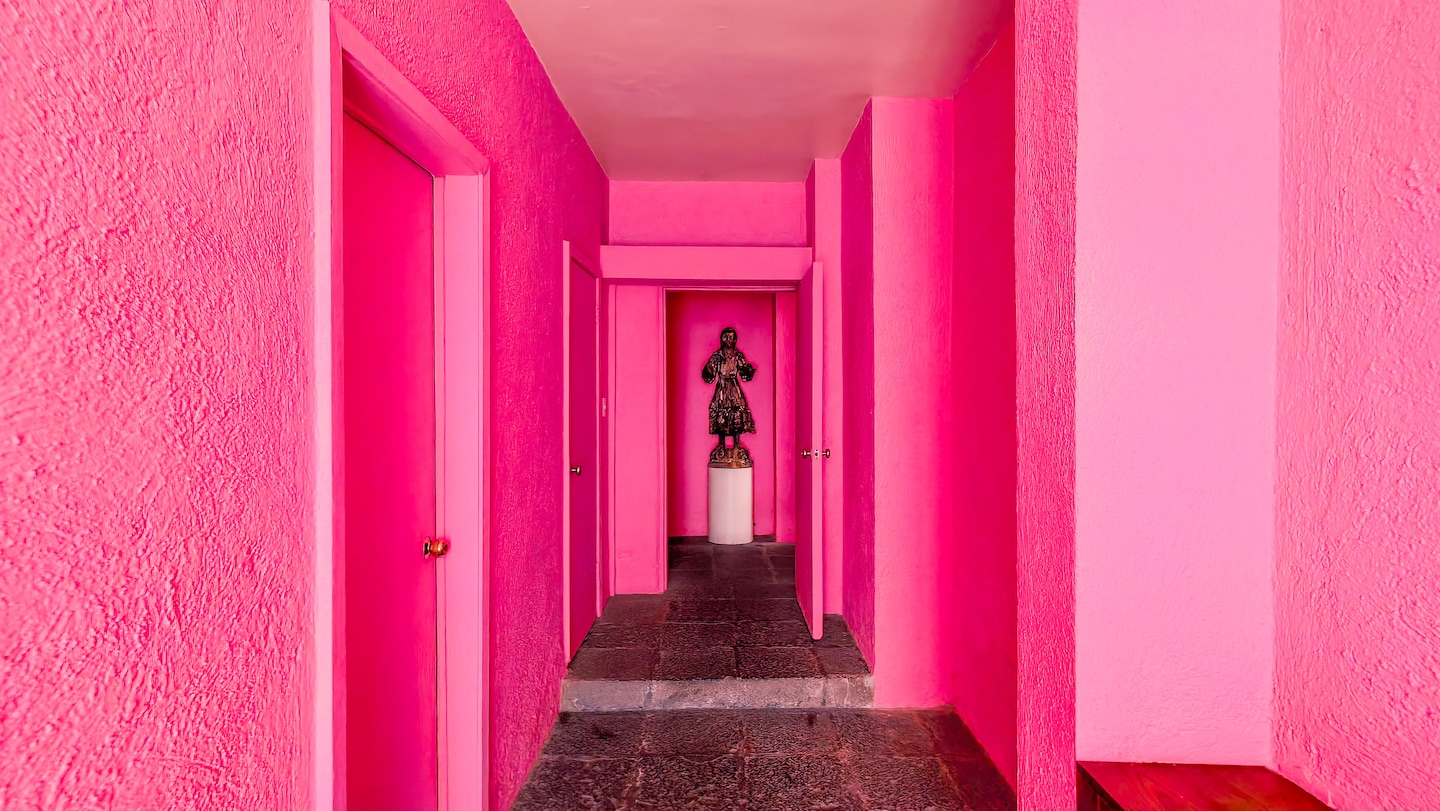 Discover Barragán's Secret Gardens & First House · ☆4.97