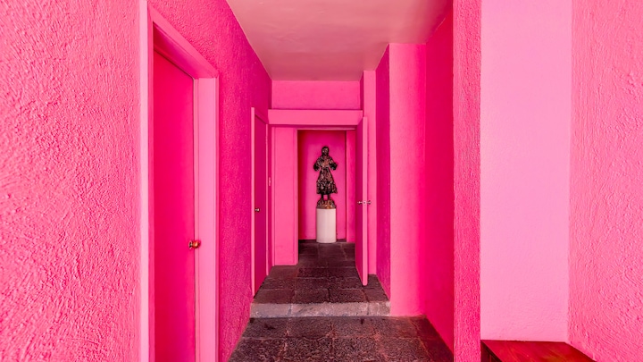 Discover Barragán's Secret Gardens & First House · ☆4.97
