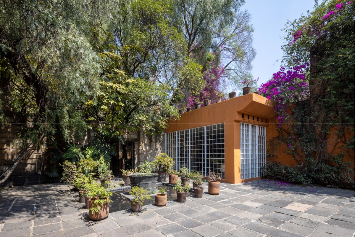 Discover Barragán's Secret Gardens & First House · ☆4.98