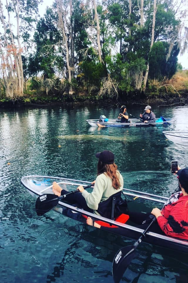 Three Sisters Springs & Manatee Clear Kayak Tours