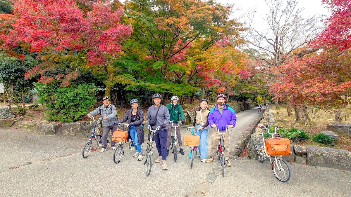 Bike through Uji’s tea trails and temples