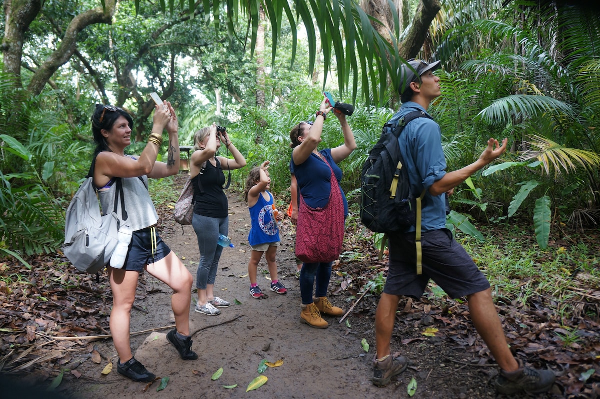 Discover the Avellanas ecosystems with a biologist