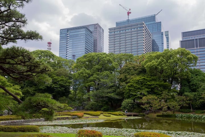 Tour privado a pie por el cambiante paisaje urbano de Tokio