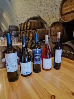 Descubre el patrimonio vinícola de Santorini y sus sabores