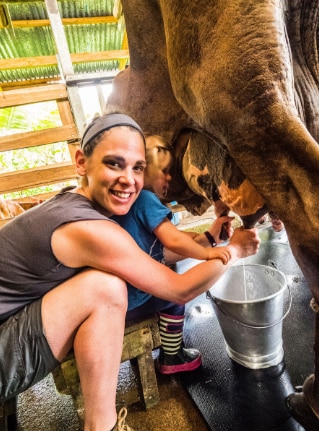 Milk cows and learn farm-friendly practices