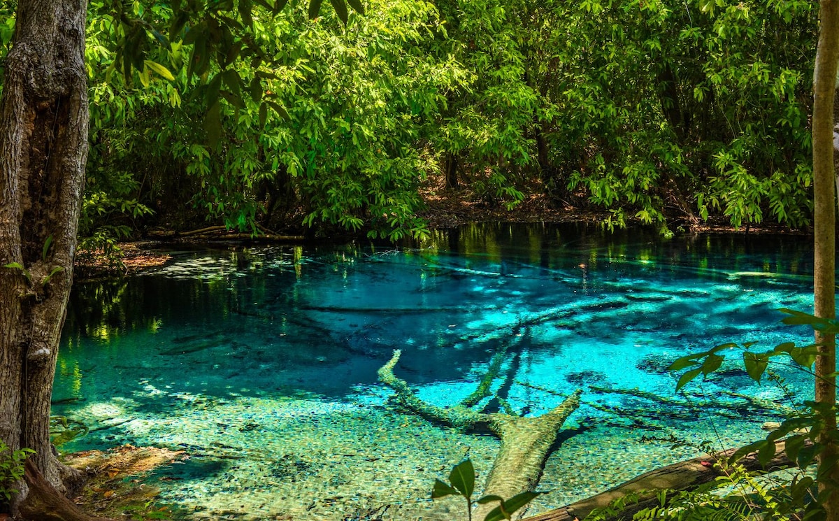 Discover Krabis natural wonder with a local guide