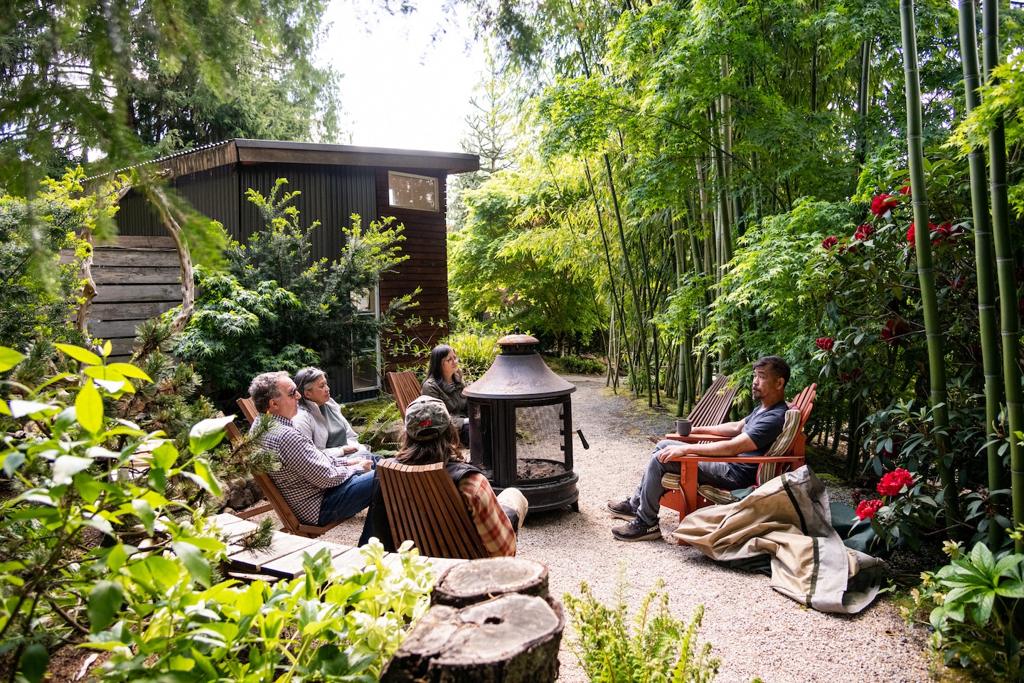 Visit a bonsai garden and start crafting your own · ☆5.0