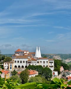 辛特拉半日游（含佩纳宫门票）