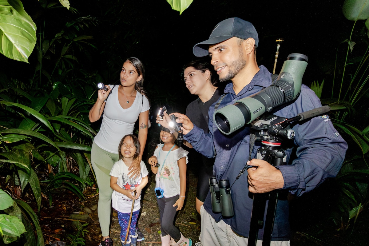 Spot rainforest nightlife with a nature guide