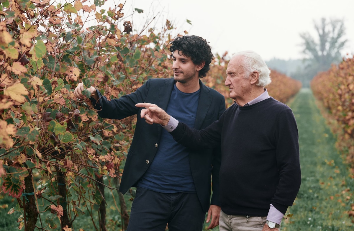 Learn to produce balsamic vinegar at a vineyard